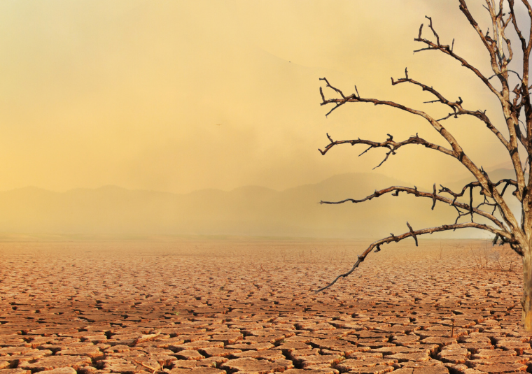 Ormanı Yaşat-İklim-Degisikligi-Gorsel#2