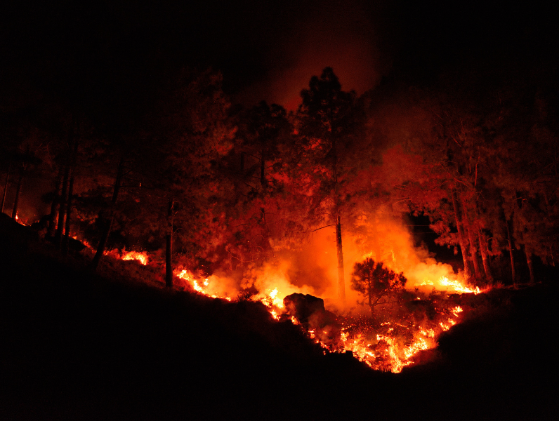 Ormanı Yaşat - Orman Yangınları - Bilecik Orman Yangını-1