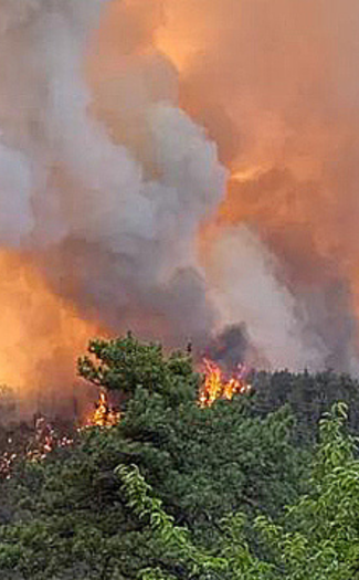 Ormanı Yaşat - Orman Yangınları - Bilecik Orman Yangını-3