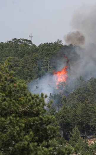 Ormanı Yaşat - Orman Yangınları - Bursa Orman Yangını-3