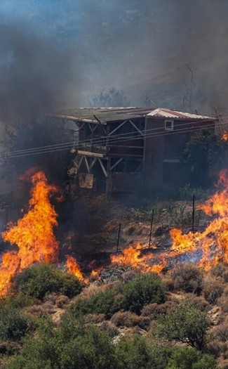 Ormanı Yaşat - Orman Yangınları - İzmir Orman Yangını-3