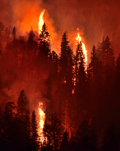 Ormanı Yaşat - Orman Yangınları - Kahramanmaraş Orman Yangını-2