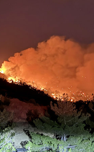 Ormanı Yaşat - Orman Yangınları - Kahramanmaraş Orman Yangını-3