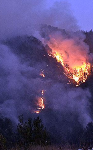 Ormanı Yaşat - Orman Yangınları - Karabük Orman Yangını-3